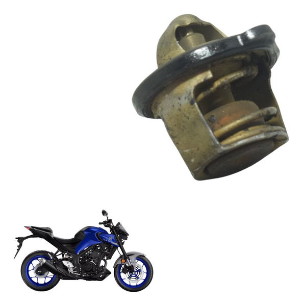 Válvula Termostática Yamaha Mt 03 20-25 Original