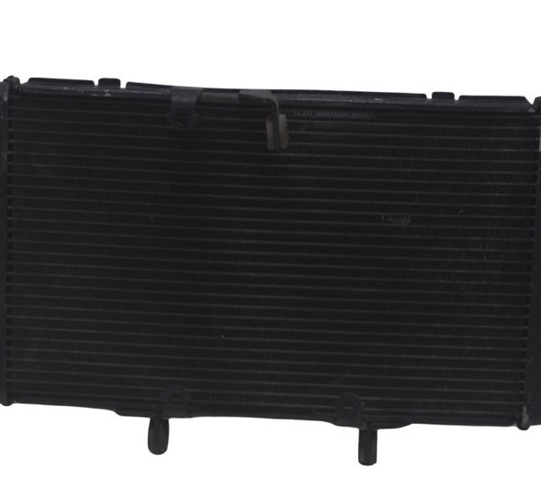 Radiador Honda Cbr 600f 12-14 Original