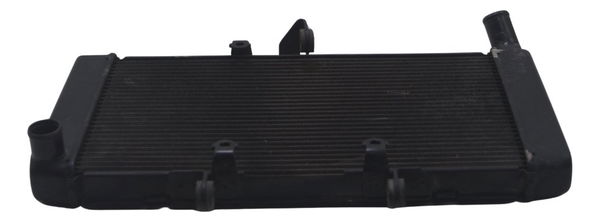 Radiador Honda Cbr 600f 12-14 Original