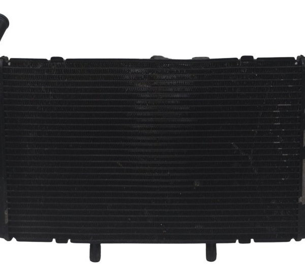 Radiador Honda Cbr 600f 12-14 Original