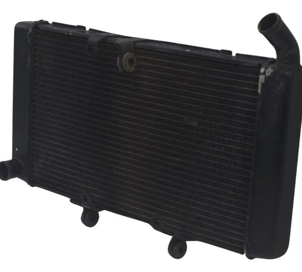 Radiador Honda Cbr 600f 12-14 Original