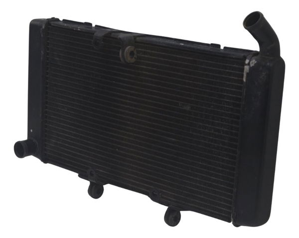 Radiador Honda Cbr 600f 12-14 Original