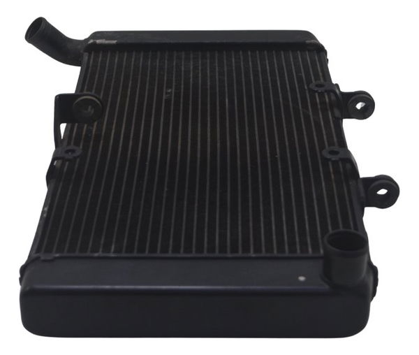 Radiador Honda Cbr 600f 12-14 Original