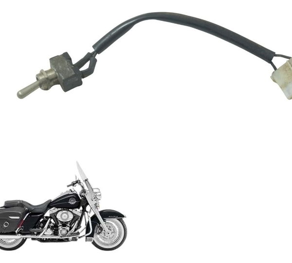 Interruptor Luz Harley Touring Road King 08-11 Original