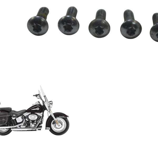 Kit Parafuso Tampa Motor Dir Harley Softail Heritage 07-10
