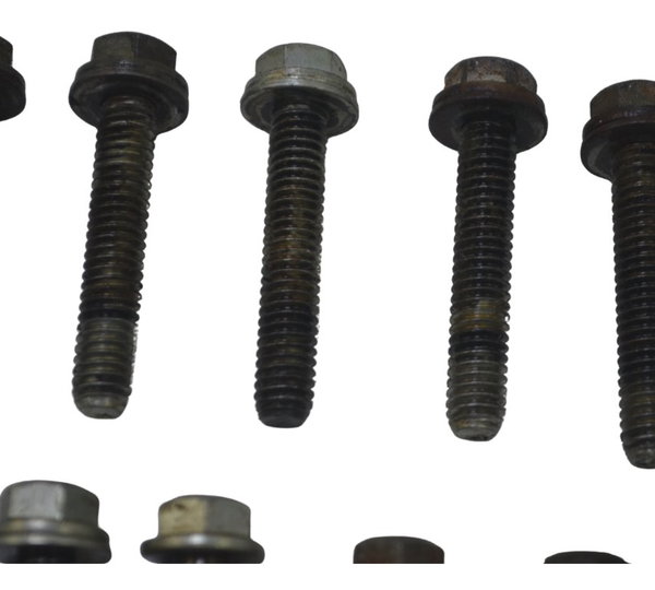 Kit Parafuso Harley Softail Heritage 07-10