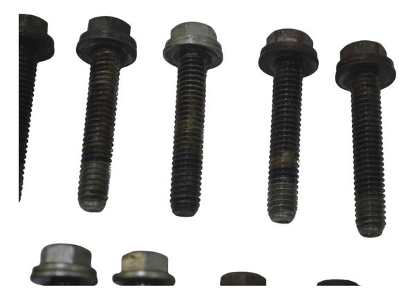 Kit Parafuso Harley Softail Heritage 07-10