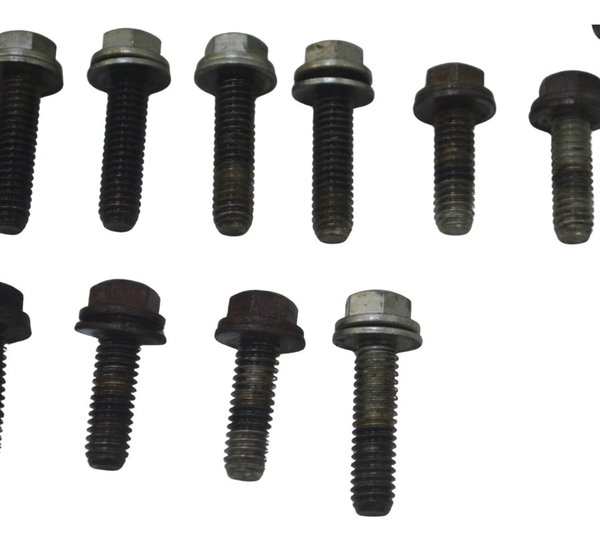 Kit Parafuso Harley Softail Heritage 07-10