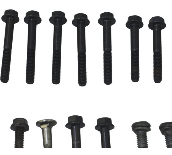 Kit Parafuso Motor Harley Softail Heritage Classic 07-10