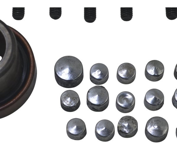 Kit Parafuso Motor Harley Softail Heritage Classic 07-10