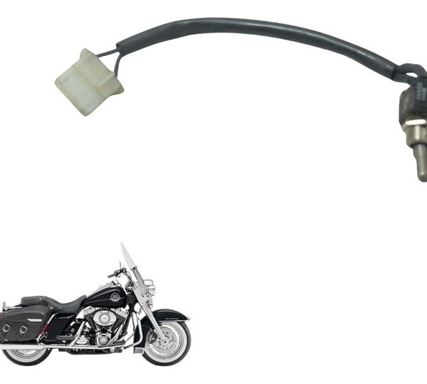 Interruptor Luz Harley Touring Road King 08-11 Original