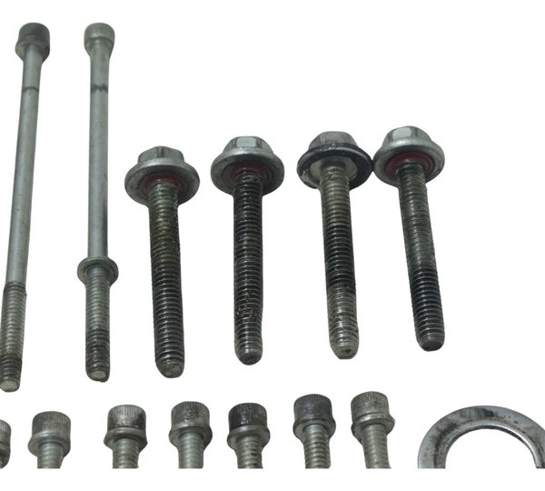 Kit Parafusos Motor Harley Touring Road King 08-11 Original