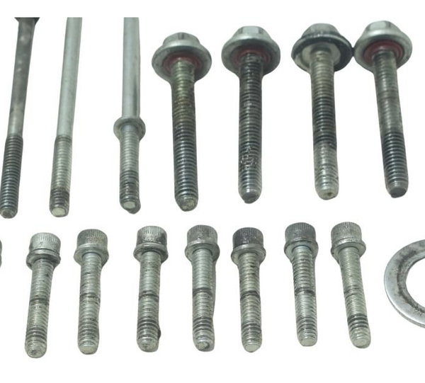 Kit Parafusos Motor Harley Touring Road King 08-11 Original