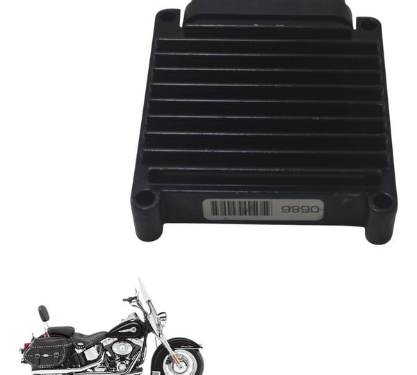 Módulo Ecm Harley Softail Heritage Classic 07-10 Original