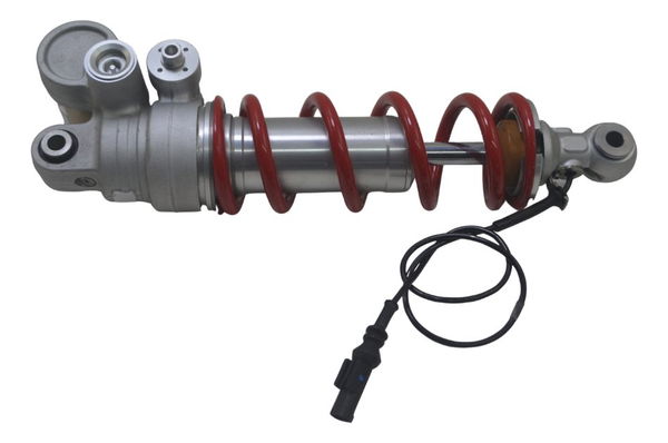 Amortecedor Traseiro Bmw S 1000 Rr 24-25 Original