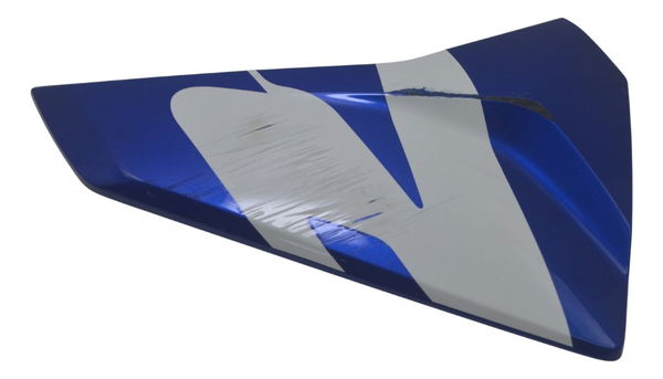 Carenagem Lateral Aba Tanque Dir C/detalhe Bmw G 310 R 16-25