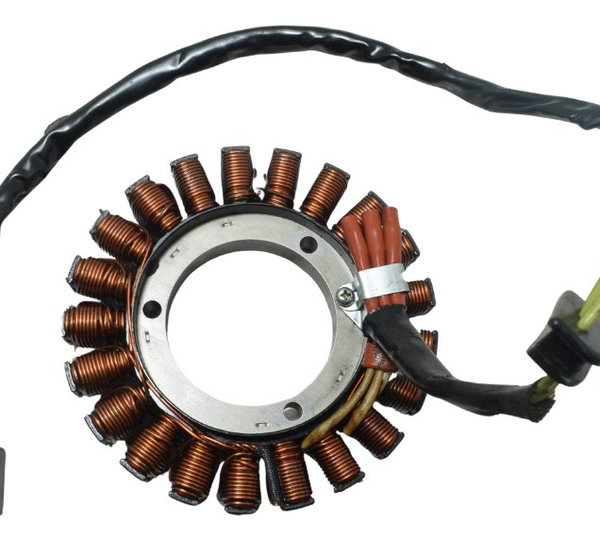 Estator Recondicionado Bmw R 1200 Gs 13-19