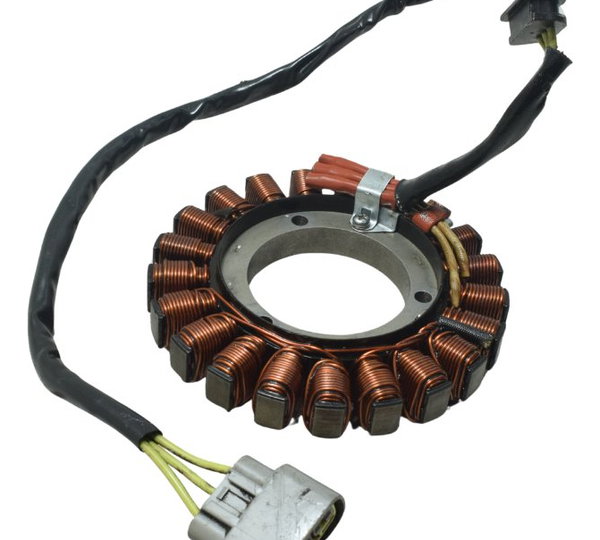 Estator Recondicionado Bmw R 1200 Gs 13-19