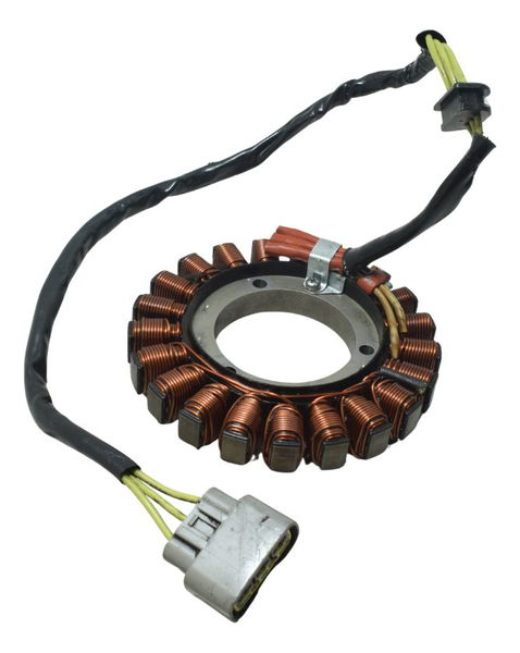 Estator Recondicionado Bmw R 1200 Gs 13-19