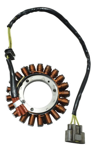 Estator P/rebobinar Bmw R 1200 Gs 13-19 Original