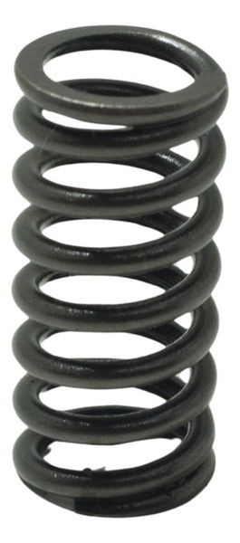 Mola Embreagem Bmw R 1200 Gs 13-19 Original