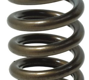 Mola Válvula Admissão Bmw R 1200 Gs 13-19 Original