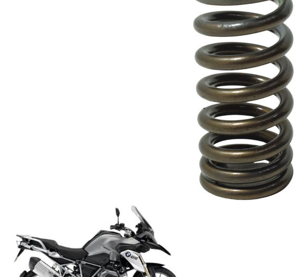 Mola Válvula Admissão Bmw R 1200 Gs 13-19 Original
