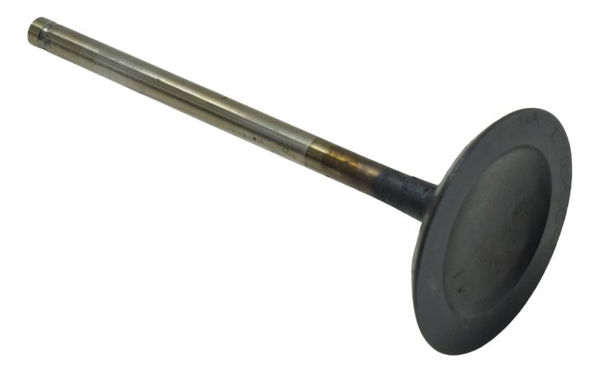 Válvula Admissão Bmw R 1200 Gs 13-19 Original