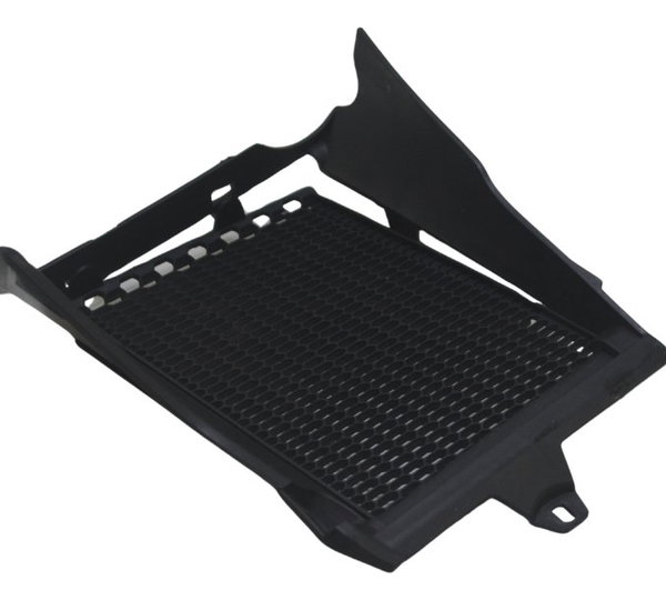 Grade Proteção Radiador Bmw R1250 Gs 19-24 Original