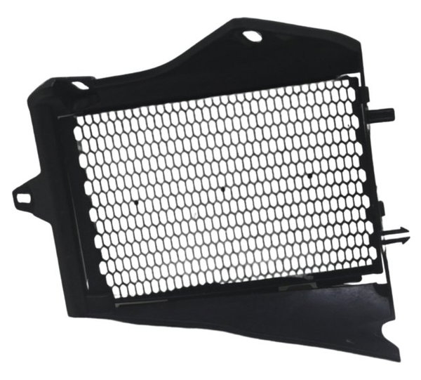 Grade Proteção Radiador Bmw R1250 Gs 19-24 Original