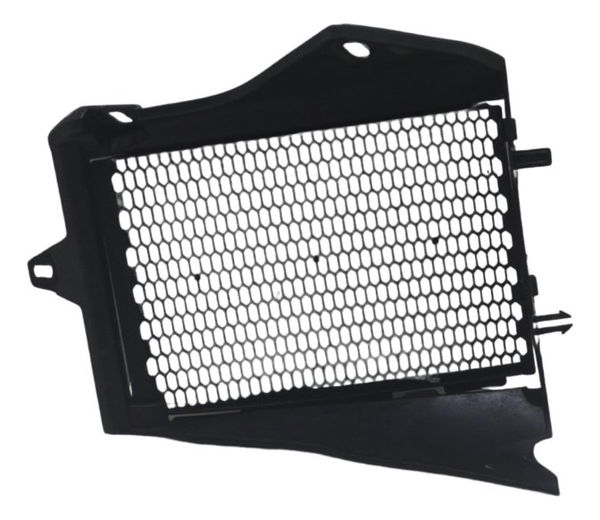 Grade Proteção Radiador Bmw R1250 Gs 19-24 Original