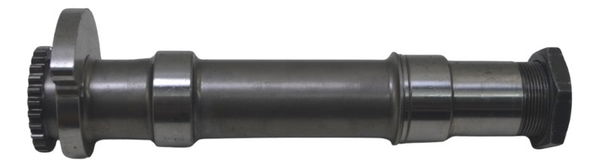 Balanceiro Virabrequim Bmw R1250 Gs 19-24 Original