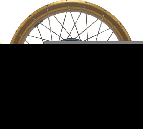 Roda Traseira Bmw R1250 Gs 19-24 Original