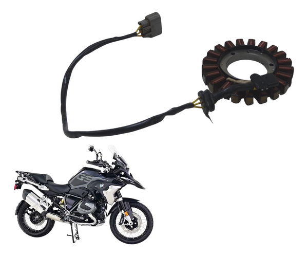 Estator Bmw R1250 Gs 19-24 Original