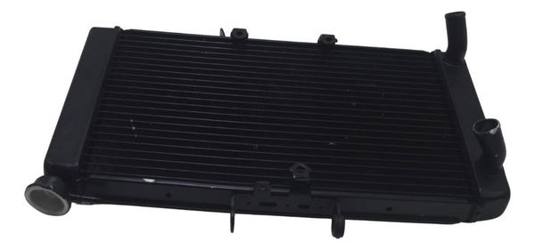 Radiador C/ Detalhes Triumph Tiger 800 Xrx 18-20 Original