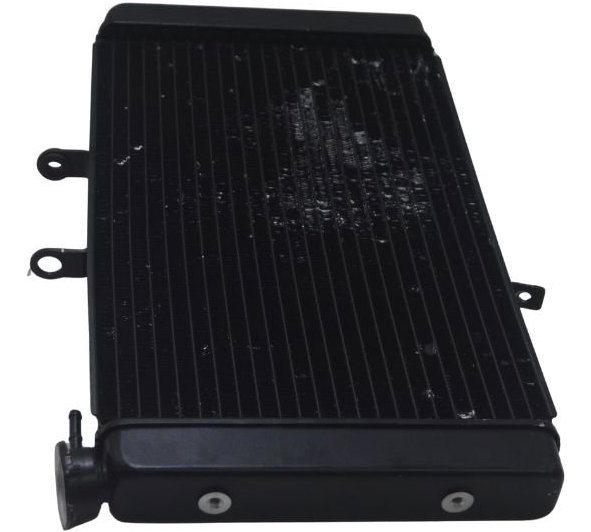 Radiador C/ Detalhes Triumph Tiger 800 Xrx 18-20 Original