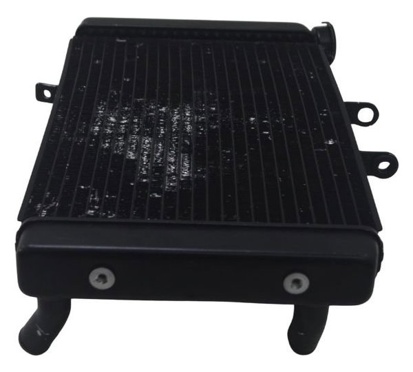 Radiador C/ Detalhes Triumph Tiger 800 Xrx 18-20 Original