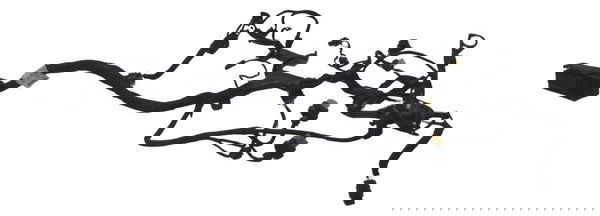 Chicote Secundario Injeção Bmw R1250 Gs 19-24 Original