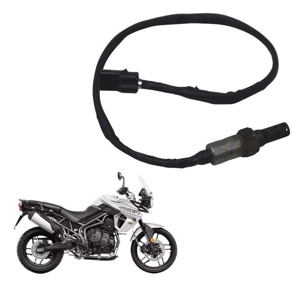 Sonda Lambda Triumph Tiger 800 Xrx 18-20 Original