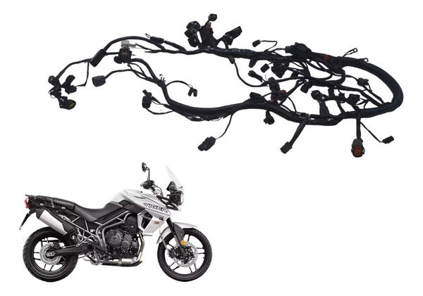 Chicote Principal Triumph Tiger 800 Xrx 18-20 Original