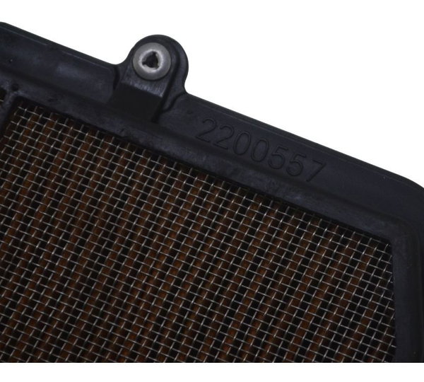 Filtro Ar Triumph Tiger 800 Xrx 18-20 Original