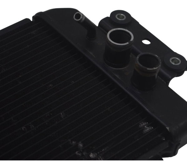 Radiador Suzuki Boulevard M 800 09-11 Original
