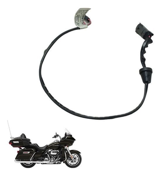 Chicote Alto Falante Harley Road Glide Touring 17-20 Orig