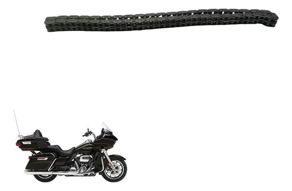 Corrente Primaria Harley Road Glide Touring 17-20 Original