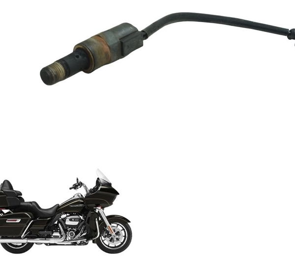 Descompressor Harley Road Glide Touring 17-20 Original