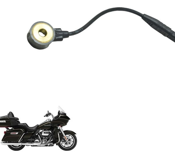 Sensor Detonação Harley Road Glide Touring 17-20 Original
