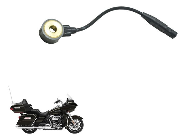 Sensor Detonação Harley Road Glide Touring 17-20 Original