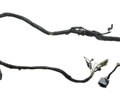 Chicote Principal C/ Avaria Honda Cbx 250 Twister 02-08 Orig