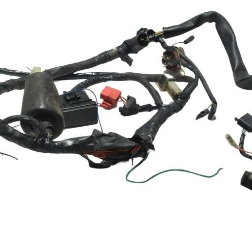 Chicote Principal C/ Avaria Honda Cbx 250 Twister 02-08 Orig