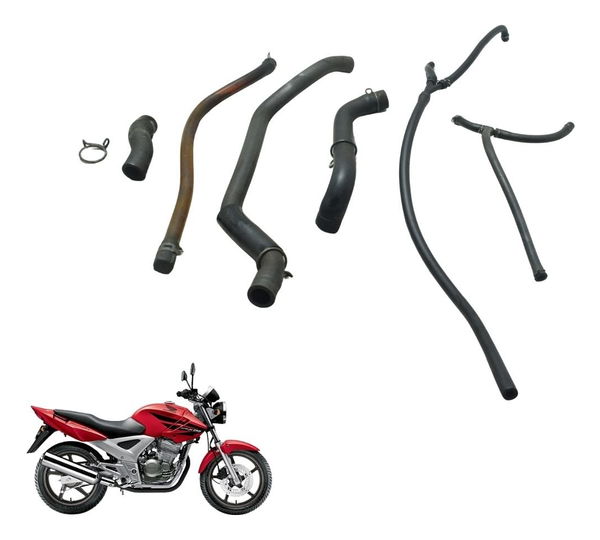 Kit Mangueiras Honda Cbx 250 Twister 02-08 Original
